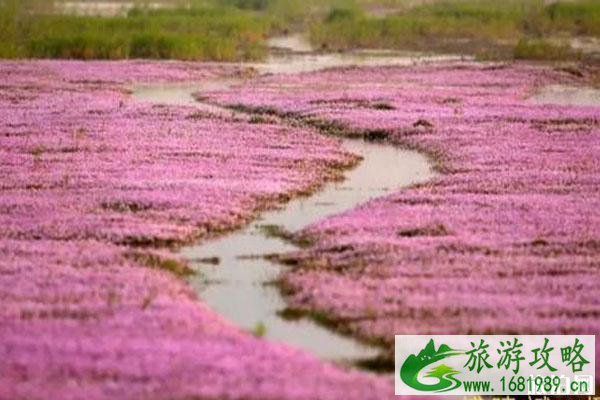 鄱阳湖干旱水底古桥介绍 鄱阳湖秋季旅游攻略