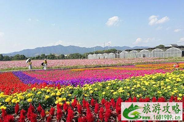 荻浦花海要门票吗 荻浦花海怎么样