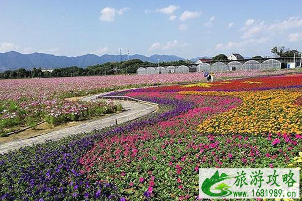 荻浦花海要门票吗 荻浦花海怎么样