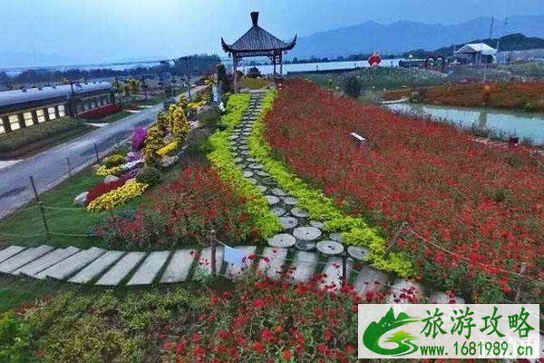 荻浦花海在哪里 荻浦花海怎么去