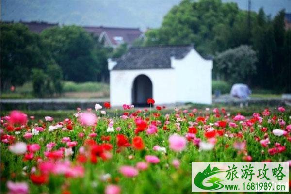 荻浦花海在哪里 荻浦花海怎么去