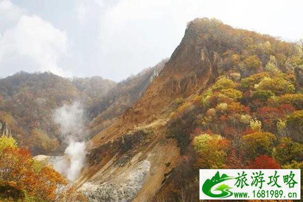 北海道哪里看枫叶好