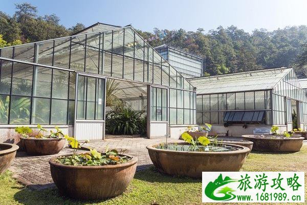 诗丽吉皇后植物园游玩攻略