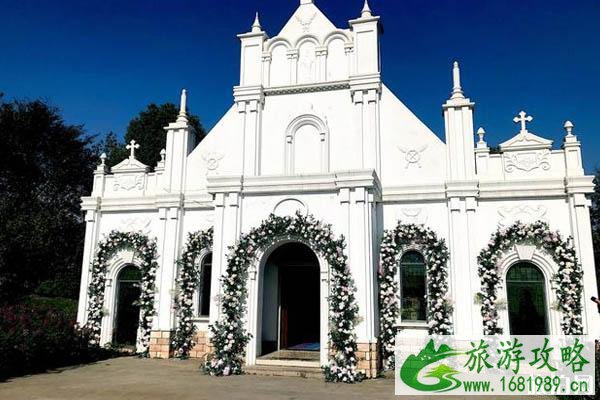 杭州湾海上花田景区门票多少钱+在哪里 杭州湾海上花田景区好玩吗