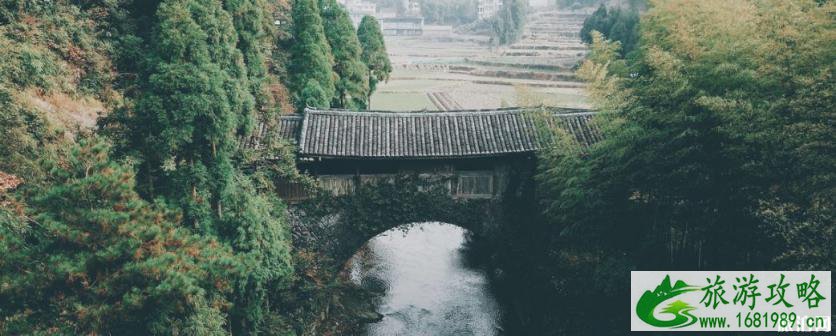 泰顺有什么看点 泰顺景点介绍