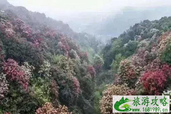 我在未来等你取景地点介绍+旅游攻略