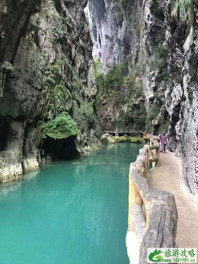 从武汉去贵州旅游攻略及景点路线推荐