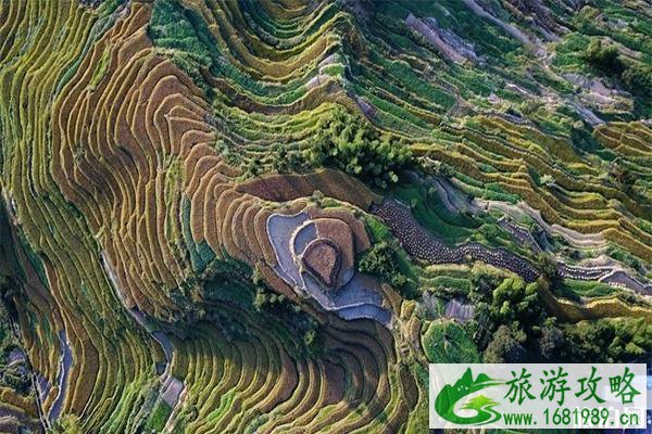 新化有什么好玩的 新化景点推荐