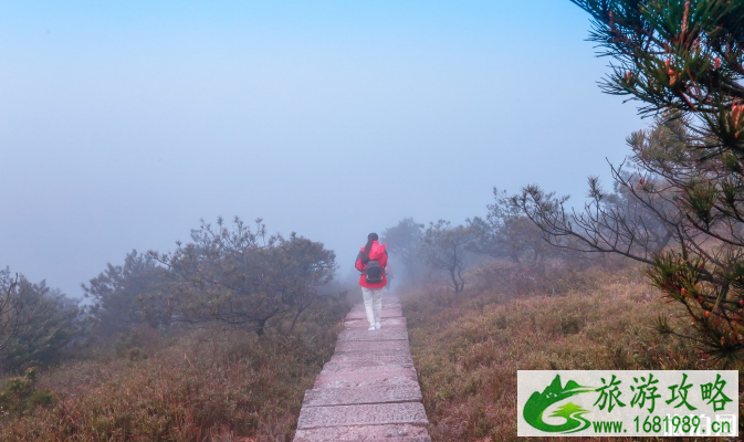 龙泉山旅游度假区有什么特色体验