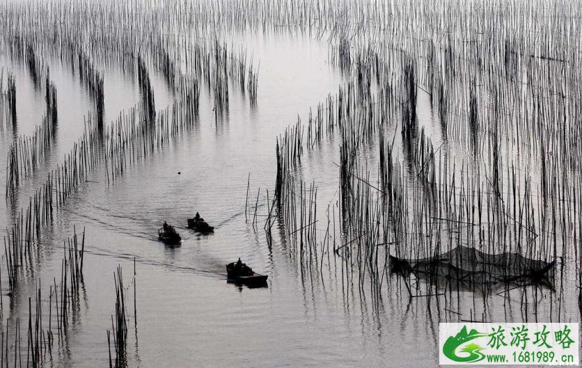 霞浦有什么必体验玩法