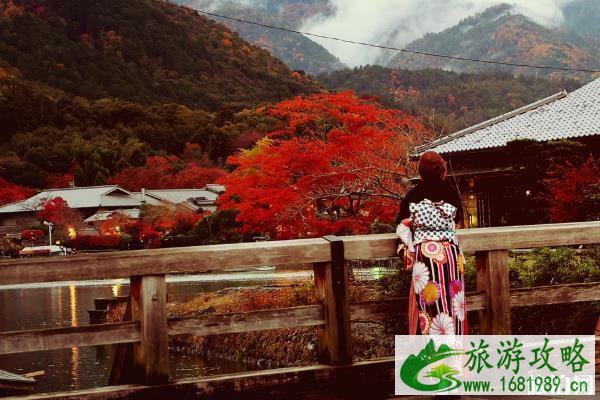 京都赏枫叶最佳地点 京都赏枫叶的寺庙推荐