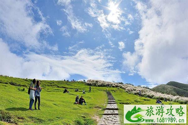 阳明山花季在什么时候 阳明山看夜景怎么样