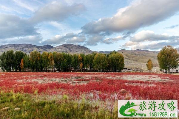 稻城亚丁秋天哪些景点最美 稻城秋天哪里好玩