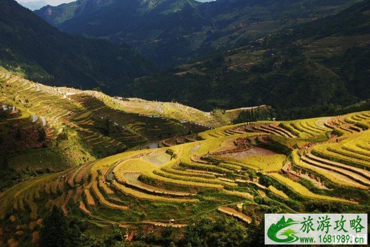 贵州秋天旅游景点推荐 威宁草海最佳旅游时间