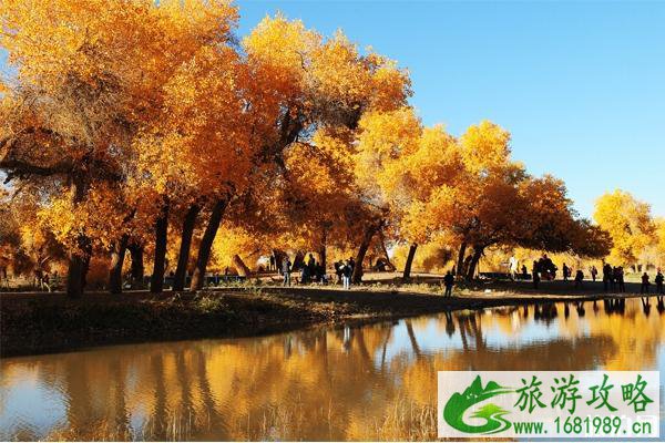 额济纳旗哪种出行方式性价比最高 额济纳旗哪种出行方式性价比最高