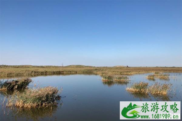沧州周边有哪些小众景点 沧州周边有哪些小众景点