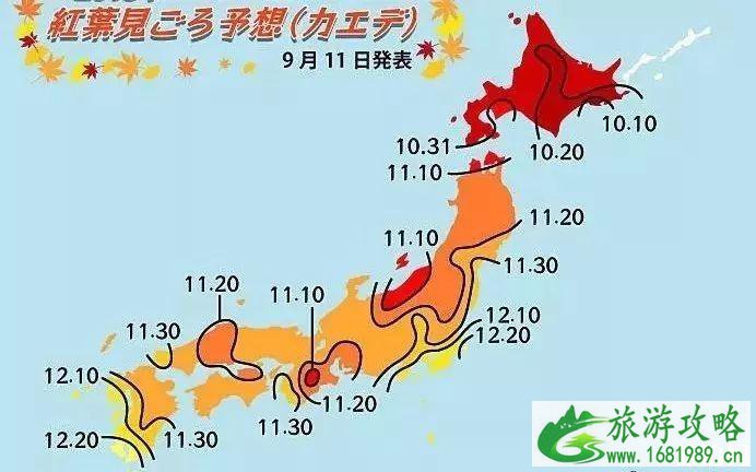 2022日本赏枫叶的最佳季节+最佳地方