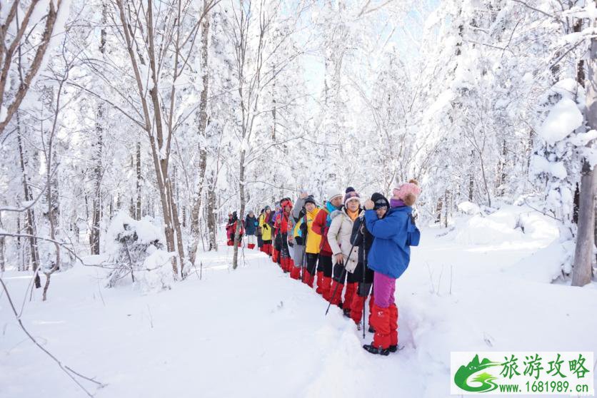 雪乡有什么特色玩法