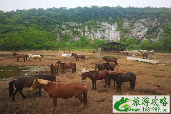 苏州太湖牛仔风情度假村好玩吗 附游玩项目