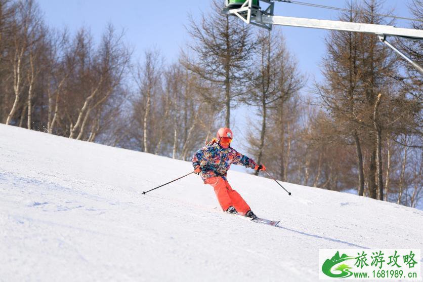 滑雪的分类 滑雪板单板和双板的区别