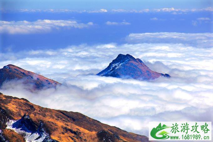 昆明轿子雪山的出行方式推荐 昆明轿子雪山旅游攻略