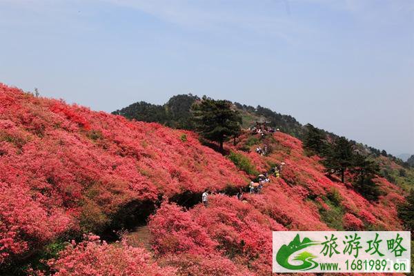 昆明轿子雪山的出行方式推荐 昆明轿子雪山旅游攻略