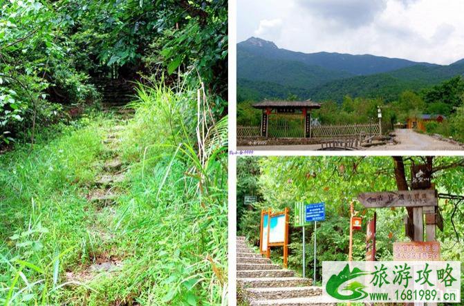 龙岩梁野山风景区攻略 龙岩梁野山旅游攻略