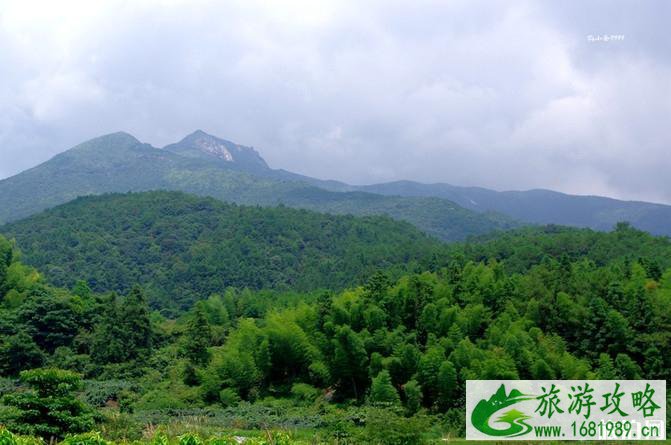 龙岩梁野山风景区攻略 龙岩梁野山旅游攻略