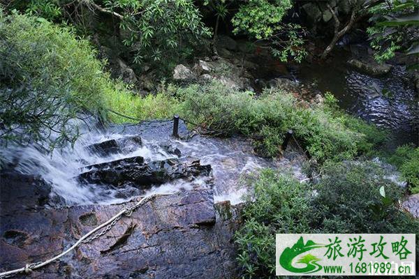 呀诺达雨林好玩吗 景区直通车线路信息