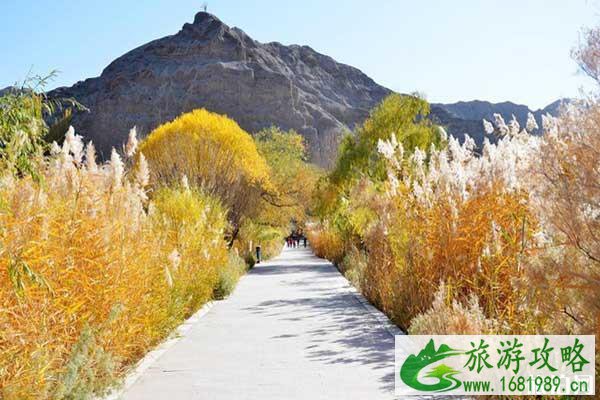 阿勒泰城市内部交通+景点介绍