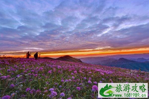 韭菜坪什么时候最漂亮  韭菜坪门票多少钱