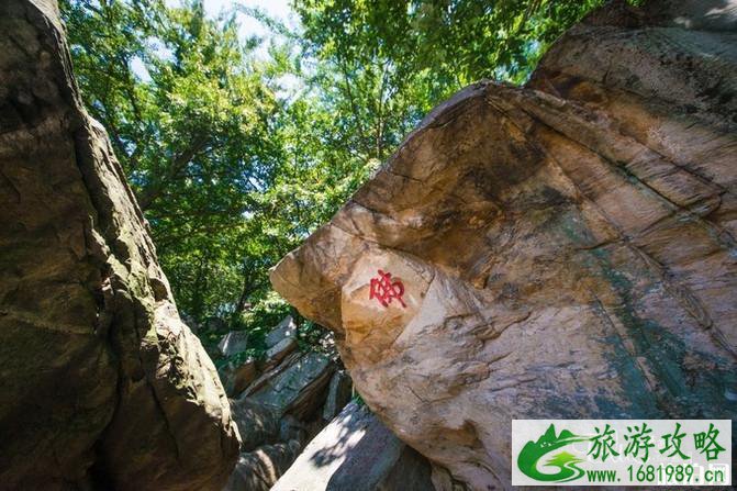 连云港花果山好玩吗 连云港花果山旅游攻略