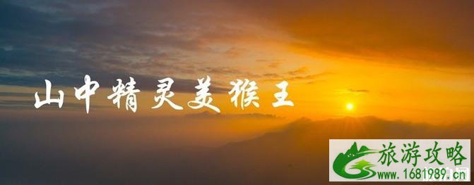 连云港花果山好玩吗 连云港花果山旅游攻略