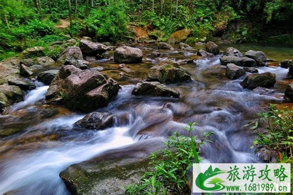 惠州南昆山国家森林公园好玩吗 自驾游路线