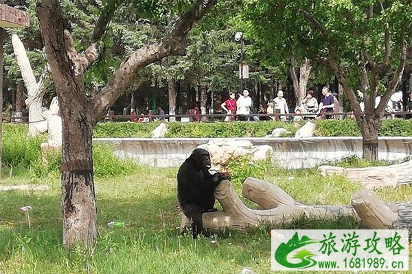 长春动植物公园怎么去 门票多少钱