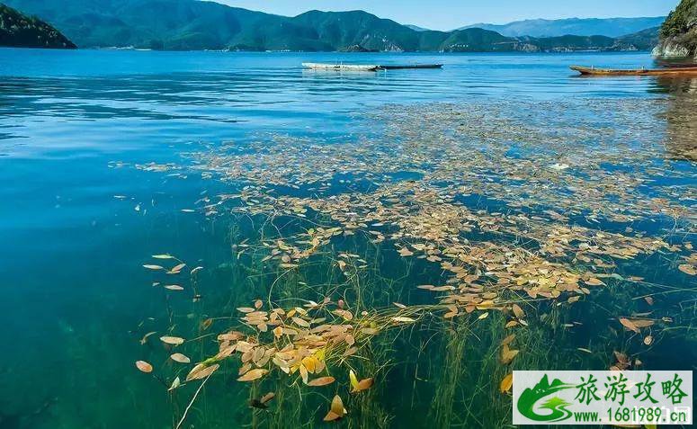 泸沽湖在哪里 泸沽湖怎么玩