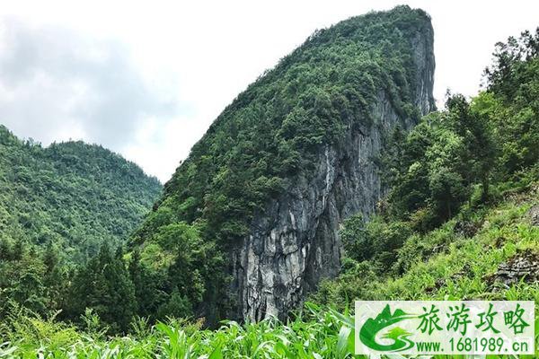 利川清江古河床游玩攻略