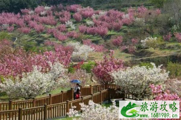 旅顺一日游玩攻略 旅顺蛇文化馆+旅顺太空植物园