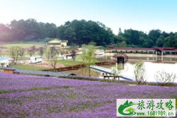 2022重庆綦江横山花仙谷中秋节有什么活动