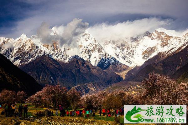 中国排名前五的最美雪山