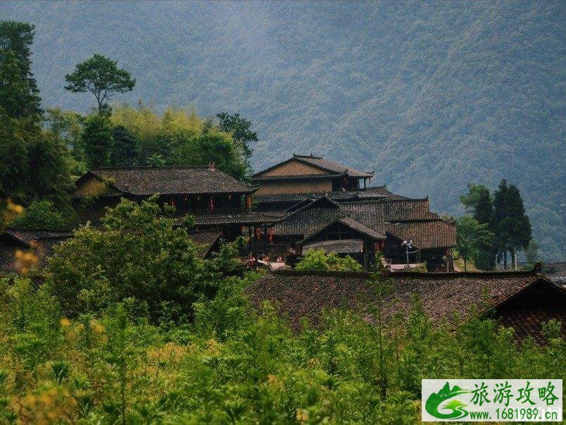 重庆武隆仙女山旅游攻略 重庆仙女山值得去吗