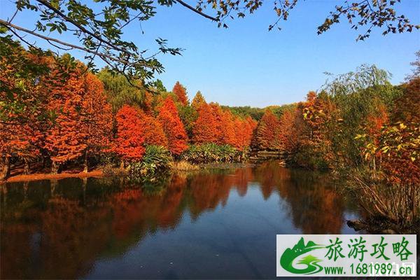 南京钟山风景区的小众风景游玩路线