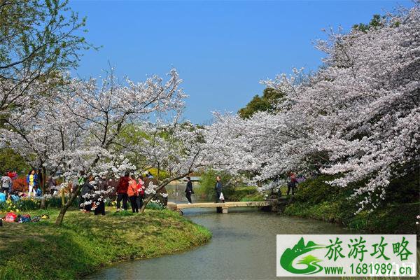 无锡赏花的地方有哪些+赏花季节