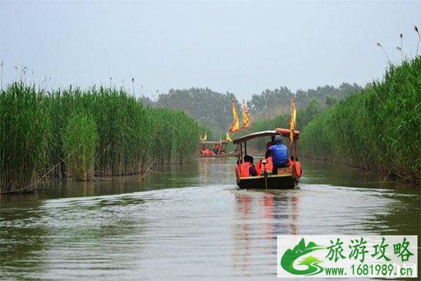 扬州高邮湖芦苇荡湿地公园门票+怎么去