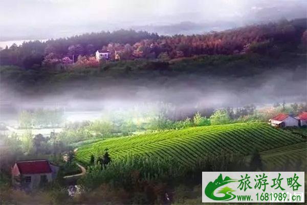 常州溧阳二日游玩攻略 常州溧阳二日游玩攻略