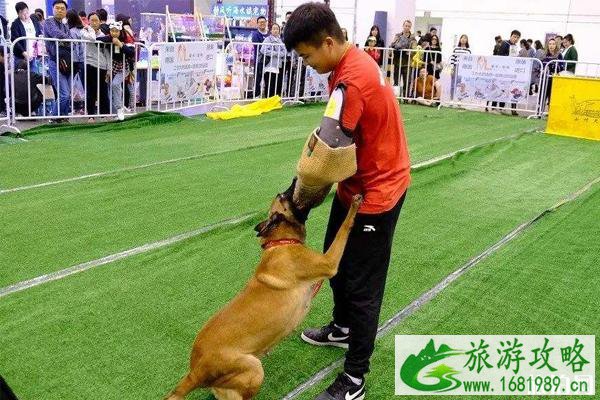 2022亚洲宠物展反恐特战犬时间+地点+活动看点