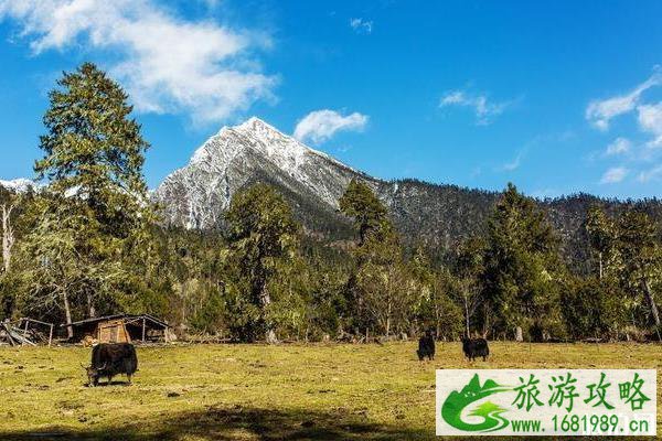 2022年9月份适合去哪里旅游