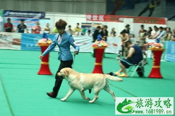 2022亚宠展CKU犬趣味运动赛时间+地点+参赛要求