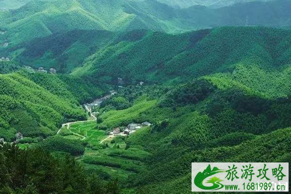 莫干山景区好玩吗 莫干山景区旅游攻略2022