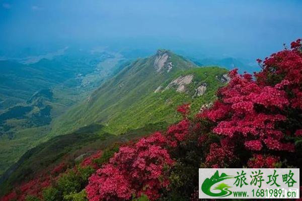 南岳衡山门票2022一次购票多次进出+游玩攻略